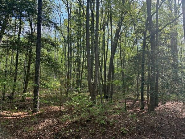 Lot 12 Cod Creek Drive, HEATHSVILLE, VA 22473