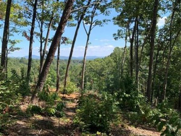 0 White Oak Cir , Blue Ridge, GA 30513