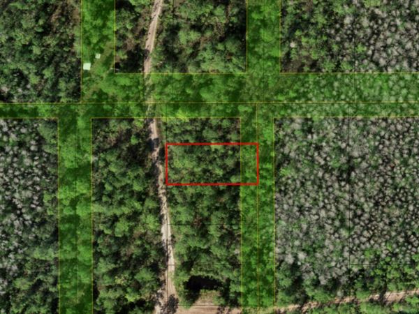 0 Holopaw Groves Road, St. Cloud, FL 34772