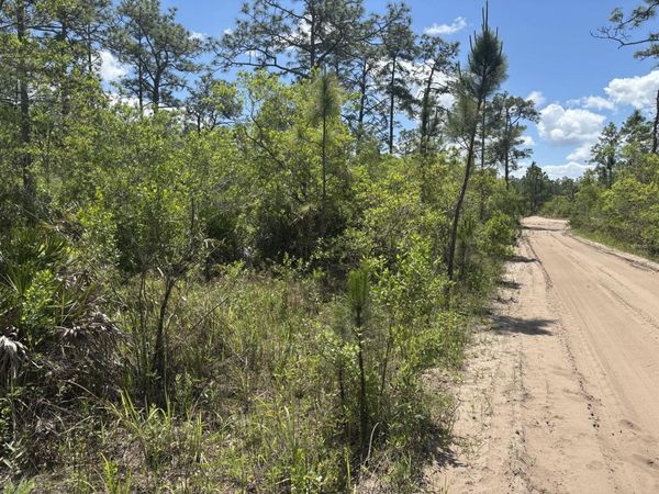 0 Holopaw Groves Road, St. Cloud, FL 34772