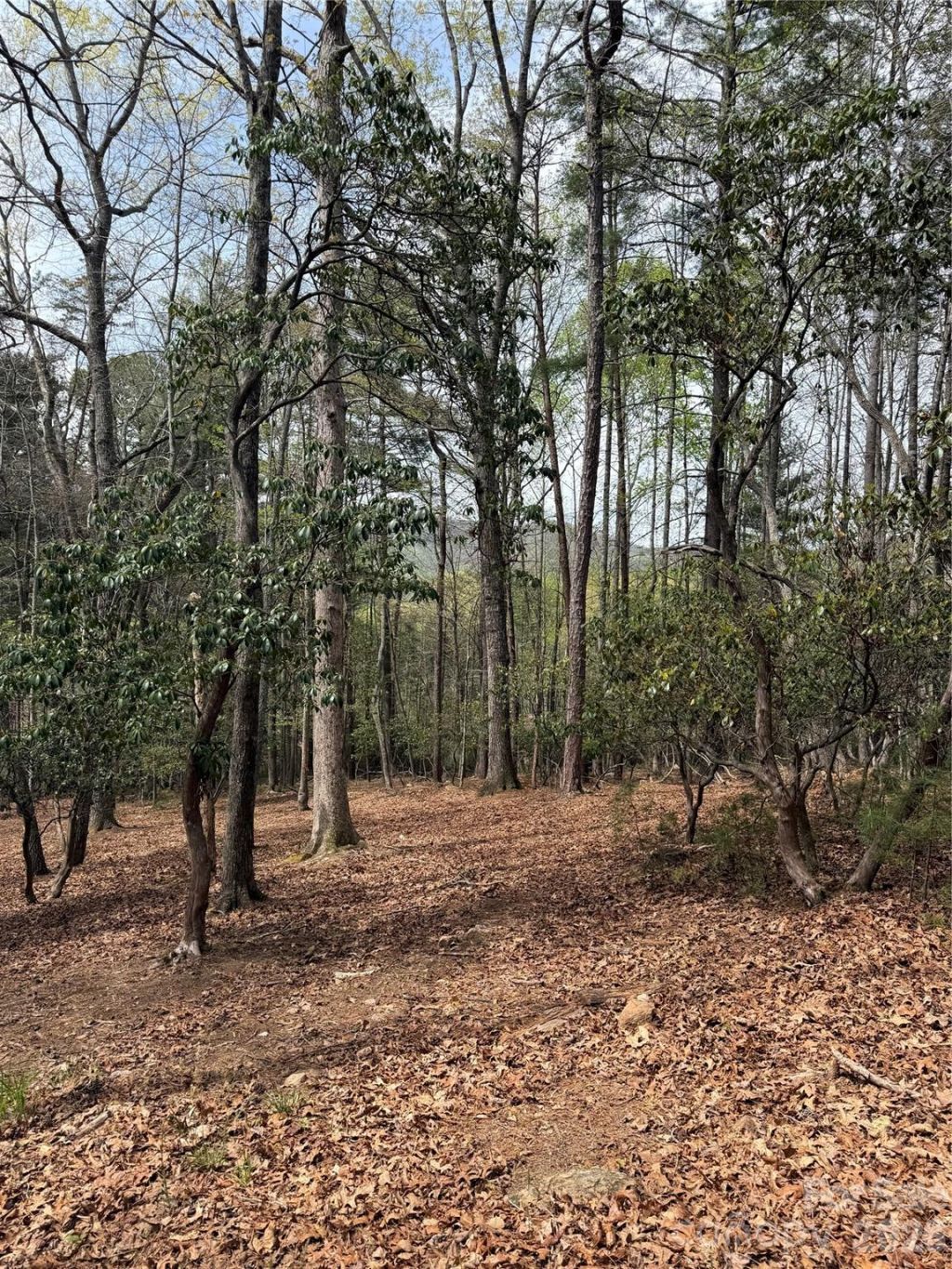 1553 Country View Way , Arden, NC 28704 Main Photo