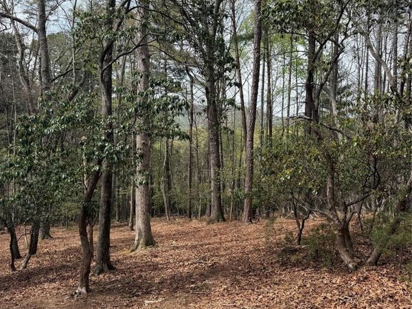 1553 Country View Way , Arden, NC 28704