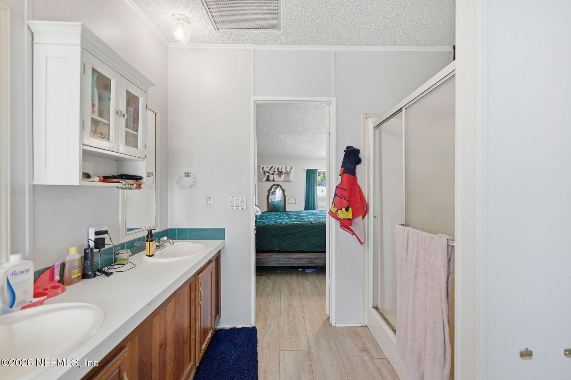 2689 Silver Creek Drive, Green Cove Springs, FL 32043 Photo