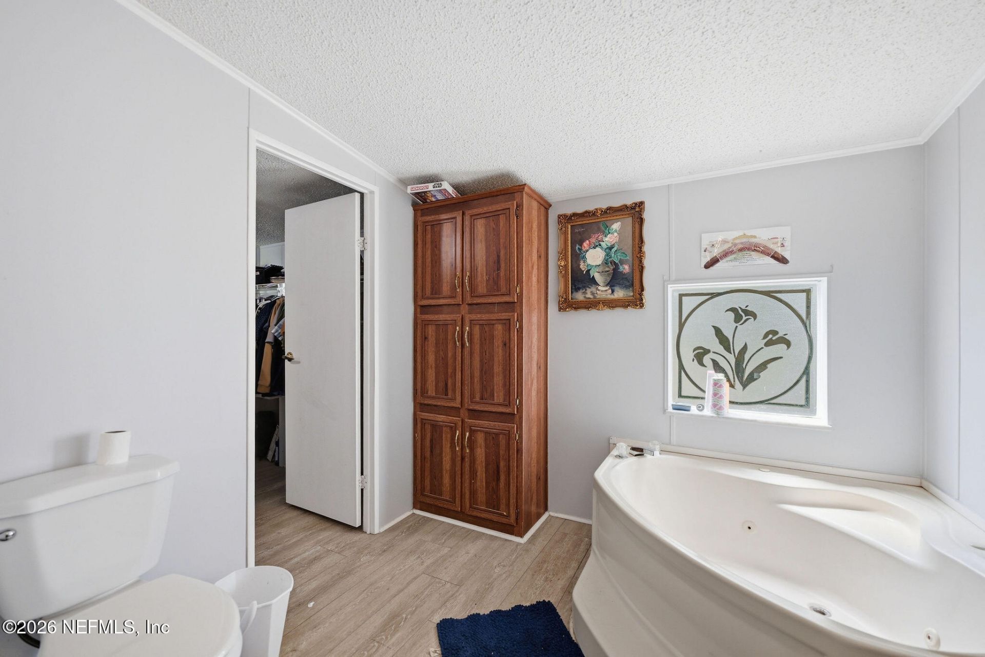 2689 Silver Creek Drive, Green Cove Springs, FL 32043 Photo