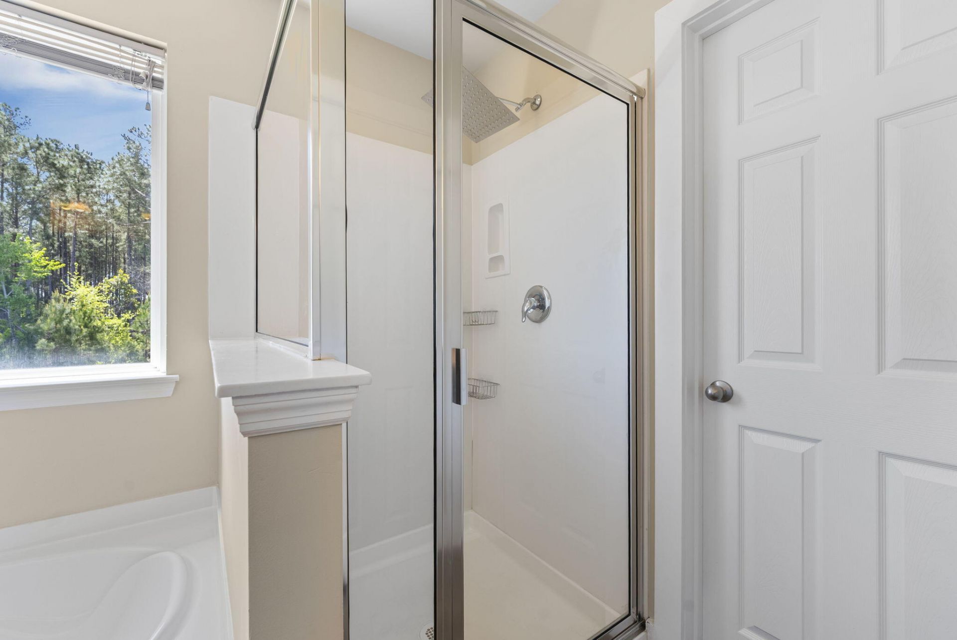 436 Northern Red Oak Drive Photo 15