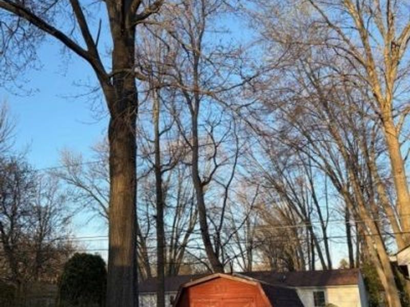 183 Yoder, Avon Lake, OH 44012 Photo 7