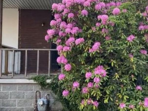 422 ARBOR ROAD, LANSDOWNE, PA 19050