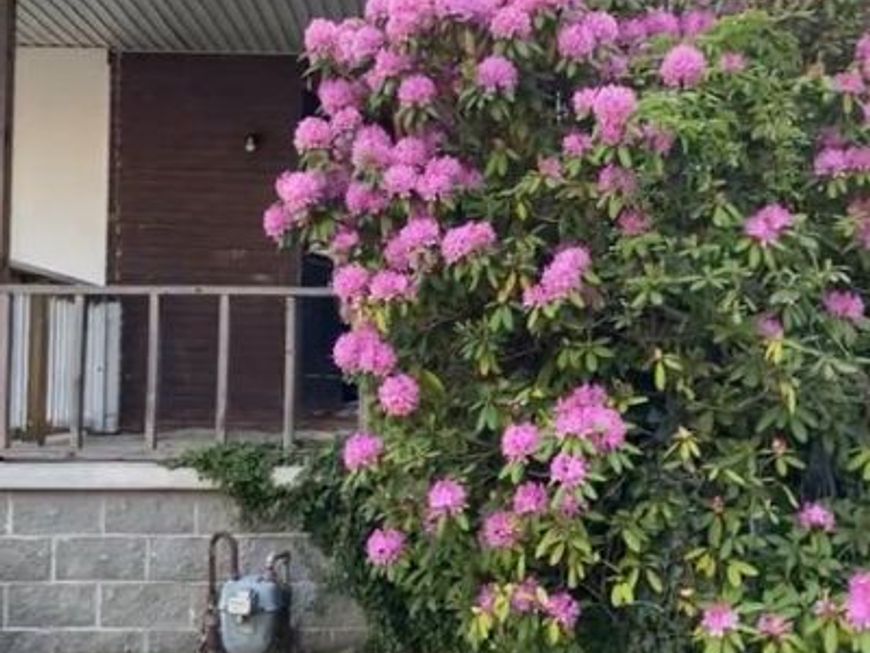 422 Arbor Road, Lansdowne, PA 19050 Main Photo