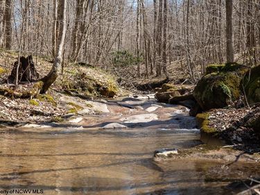 Lot 1 Fairfax Mine Road, Kingwood, WV 26537