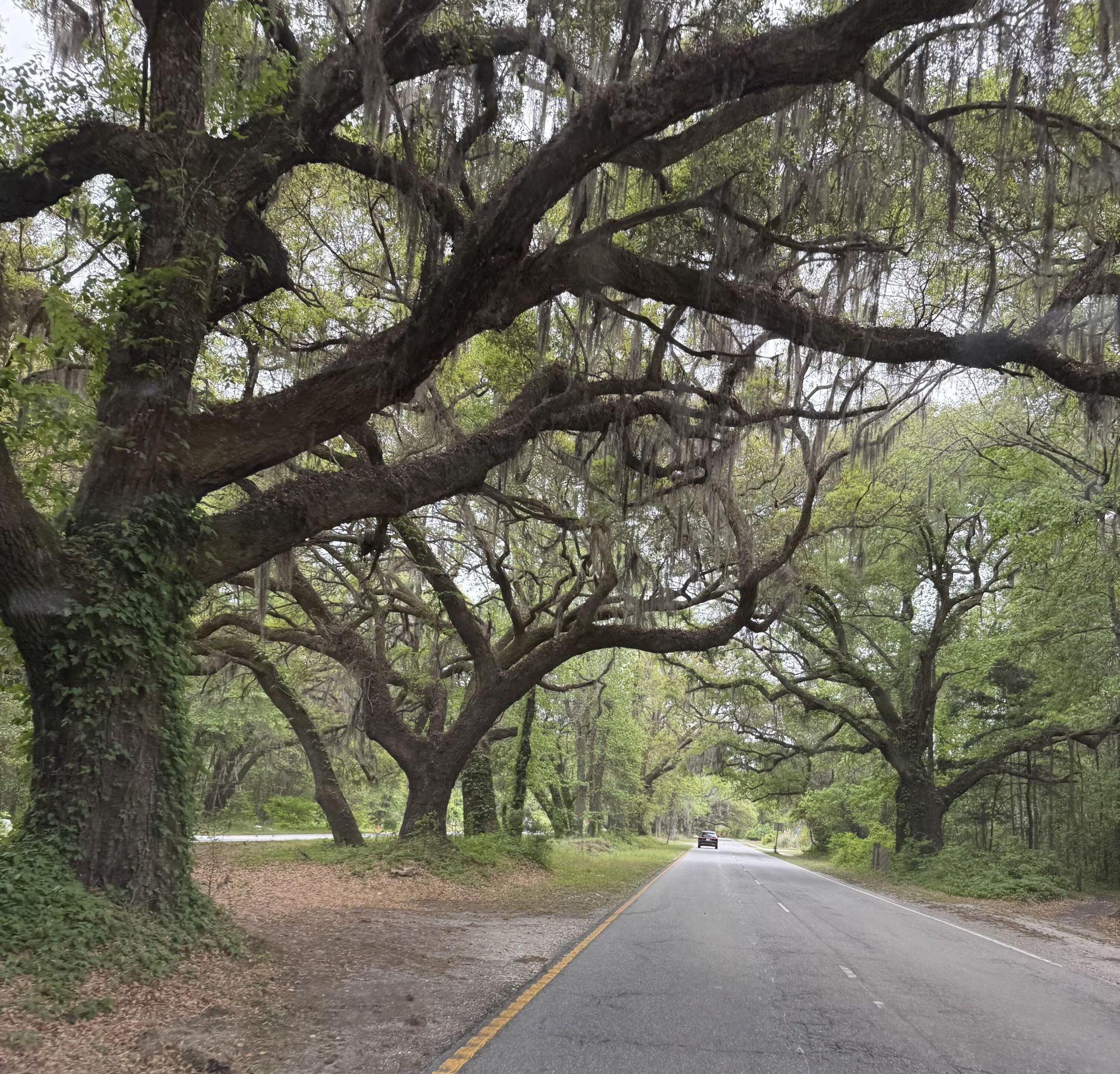 7136 Indigo Palms Way Photo 41