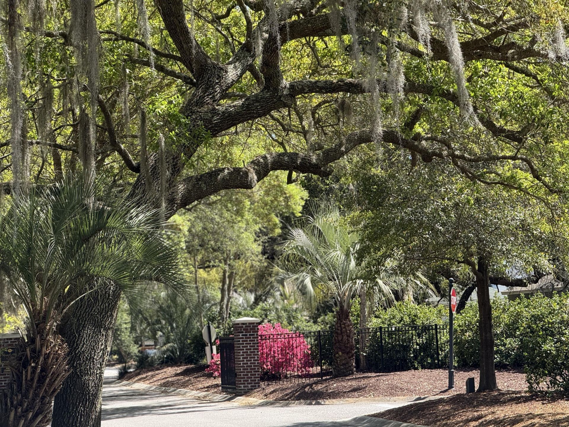 7136 Indigo Palms Way Photo 42