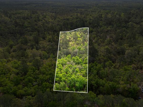 xxx Clay Revell Road , Sopchoppy, FL 32358