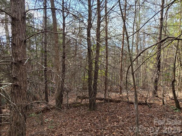 Lot 10 Kerlee Lane , Old Fort, NC 28762