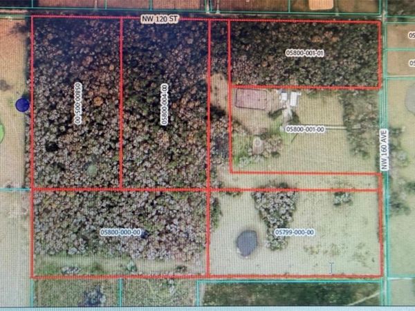 NW 160TH STREET , REDDICK, FL 32686