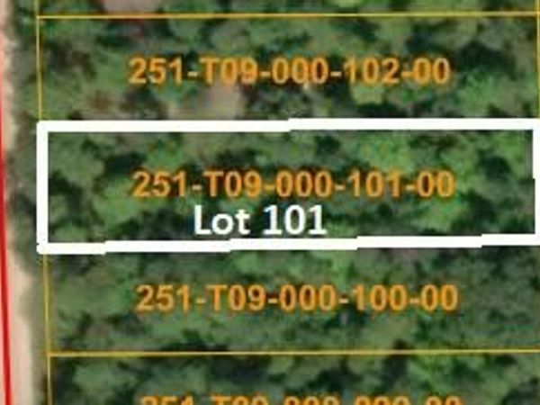 16253 Timberline Drive, Wolverine, MI 49799