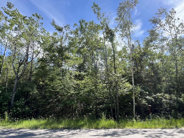 L 414-415 Woodhaven Drive, Presque Isle, MI 49777