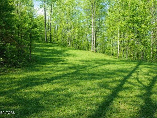 Lot 41 Black Maple Way, Del Rio, TN 37727