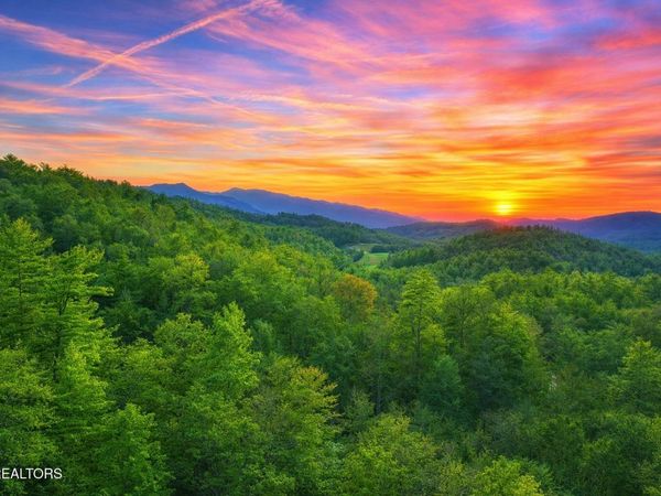 Lot 41 Black Maple Way, Del Rio, TN 37727