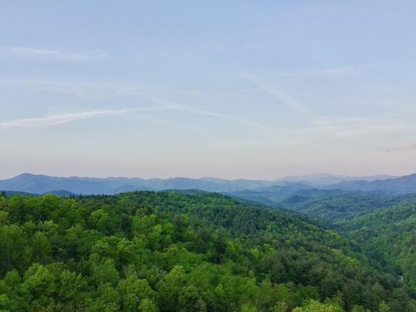 Lot 41 Black Maple Way, Del Rio, TN 37727
