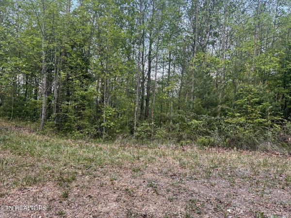 Lot 41 Black Maple Way, Del Rio, TN 37727