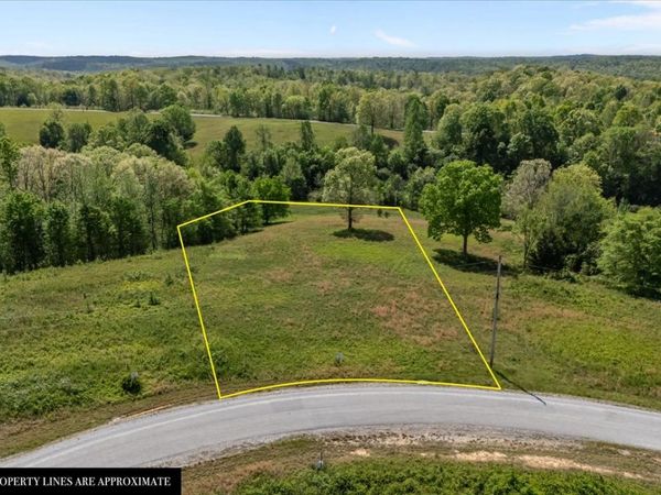 0 Blackhawk Ct, Waverly, TN 37185