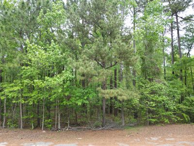 231 Morningside Drive, Saint Matthews, SC 29135