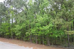 231 Morningside Drive photo 4