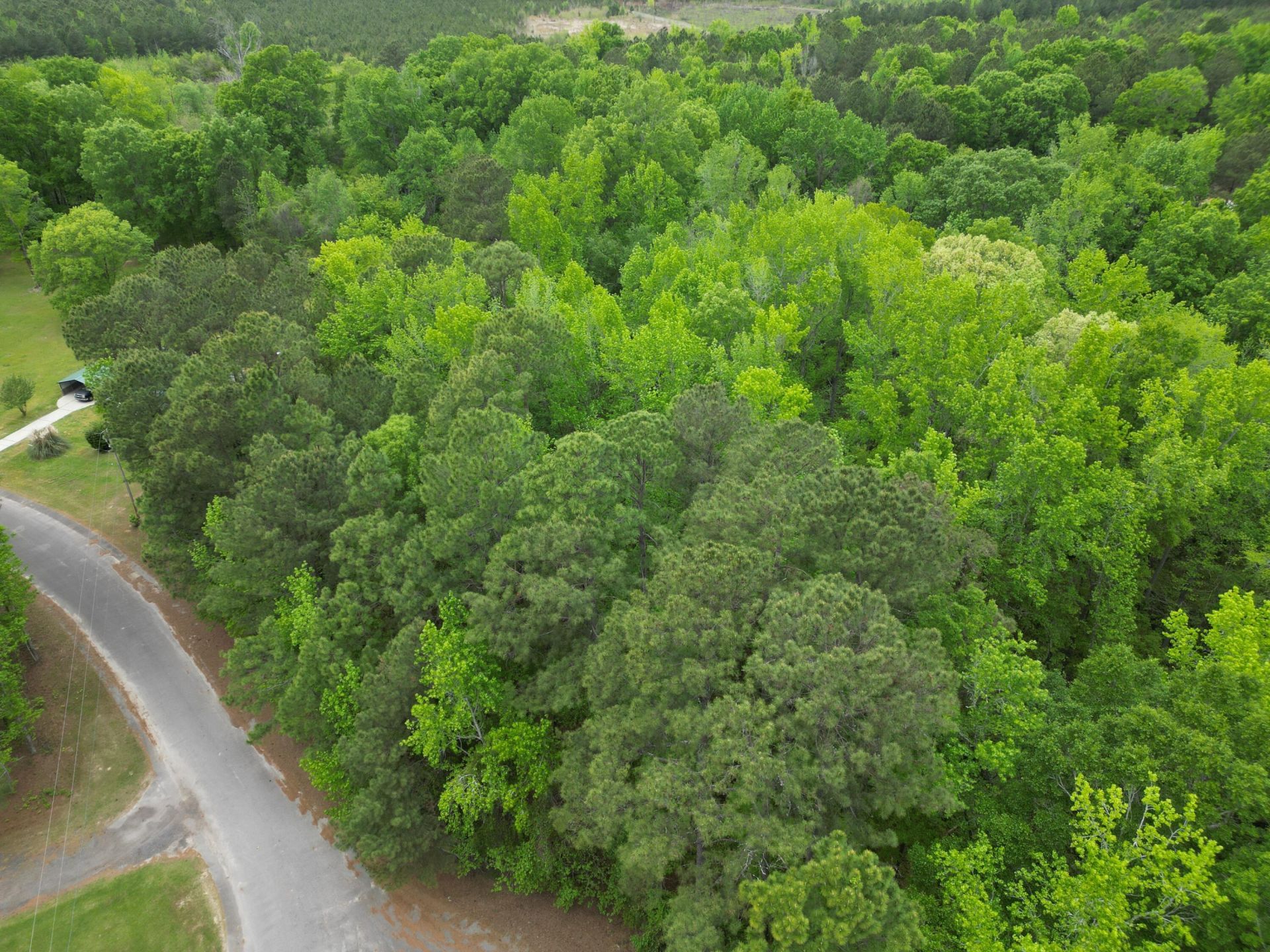 231 Morningside Drive Photo 4