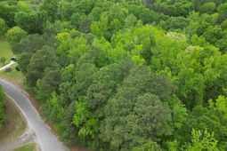 231 Morningside Drive photo 4