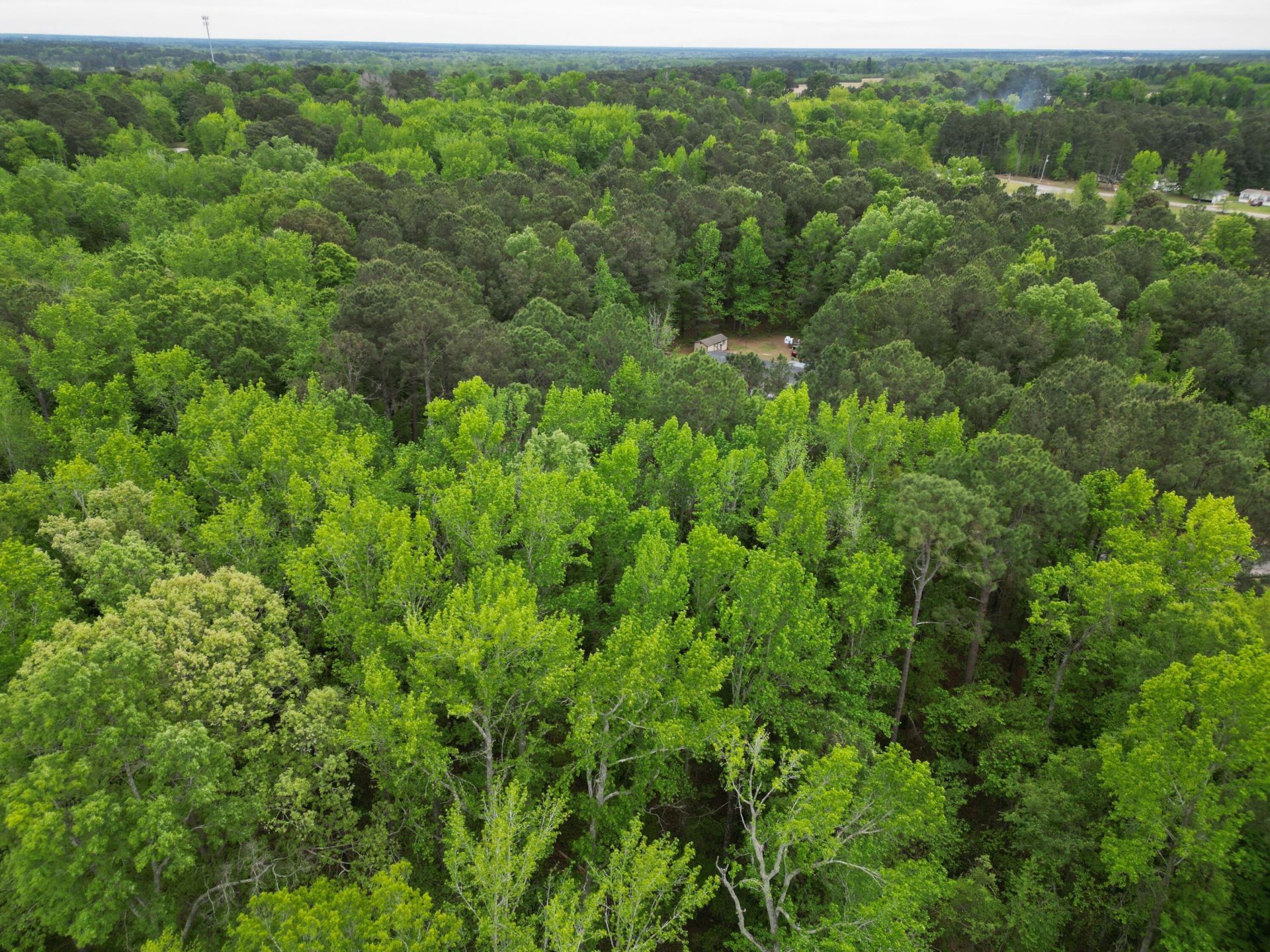 231 Morningside Drive Photo 5