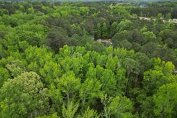 231 Morningside Drive photo 4