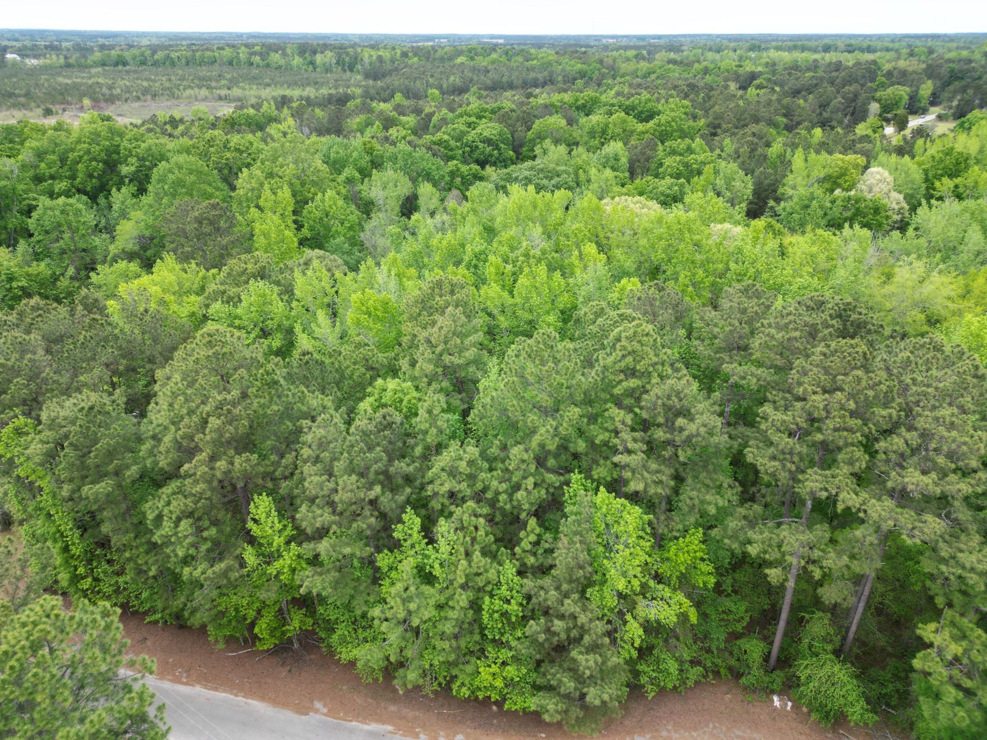 231 Morningside Drive Photo 7