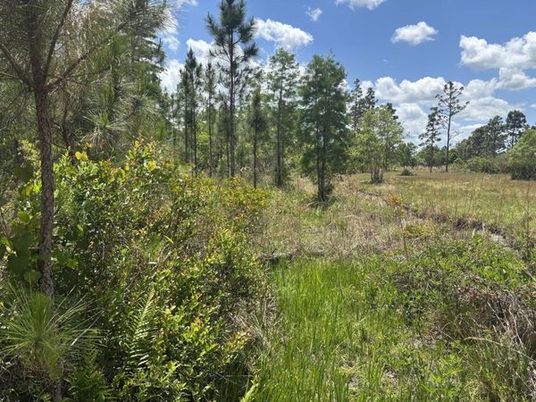 0 Holopaw Groves Road, St. Cloud, FL 34772