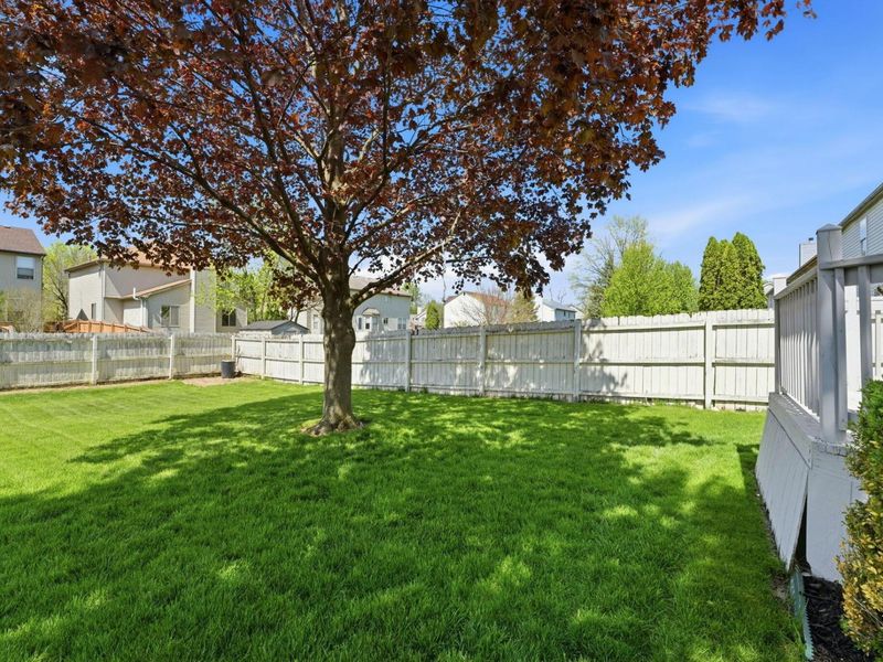 7719 Schoolway Court, Dublin, OH 43016 Photo 24