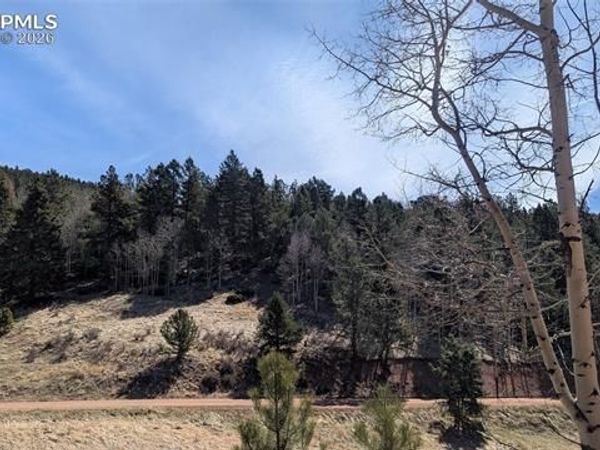 136 Valley Road, Divide, CO 80814