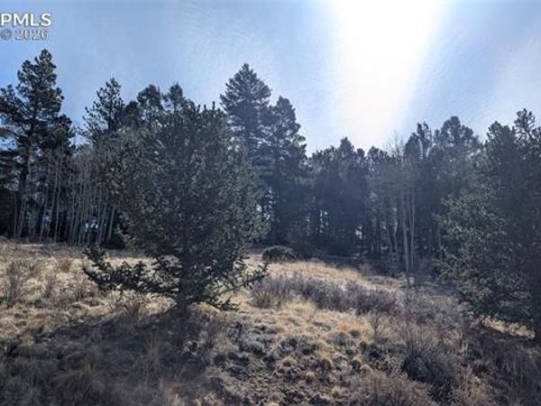 136 Valley Road, Divide, CO 80814