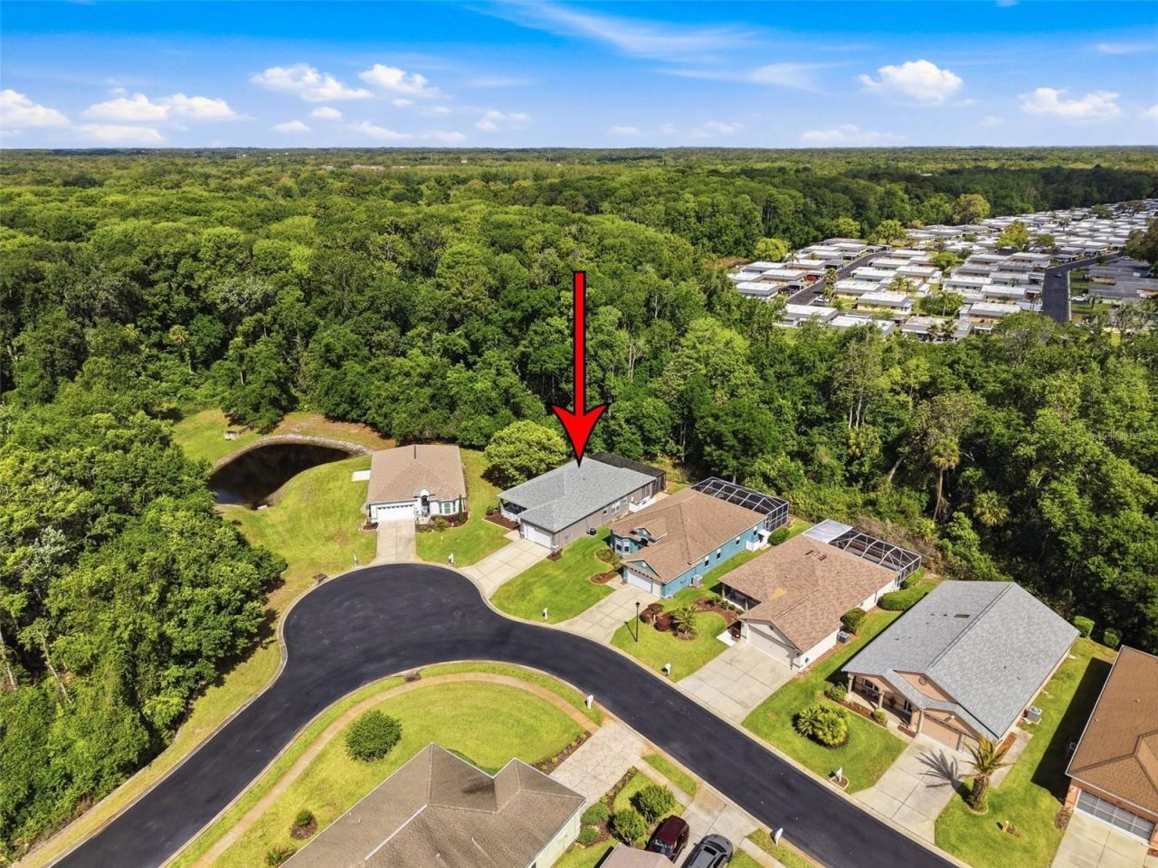 11303 Clear Oak Circle , New Port Richey, FL 34654 Photo