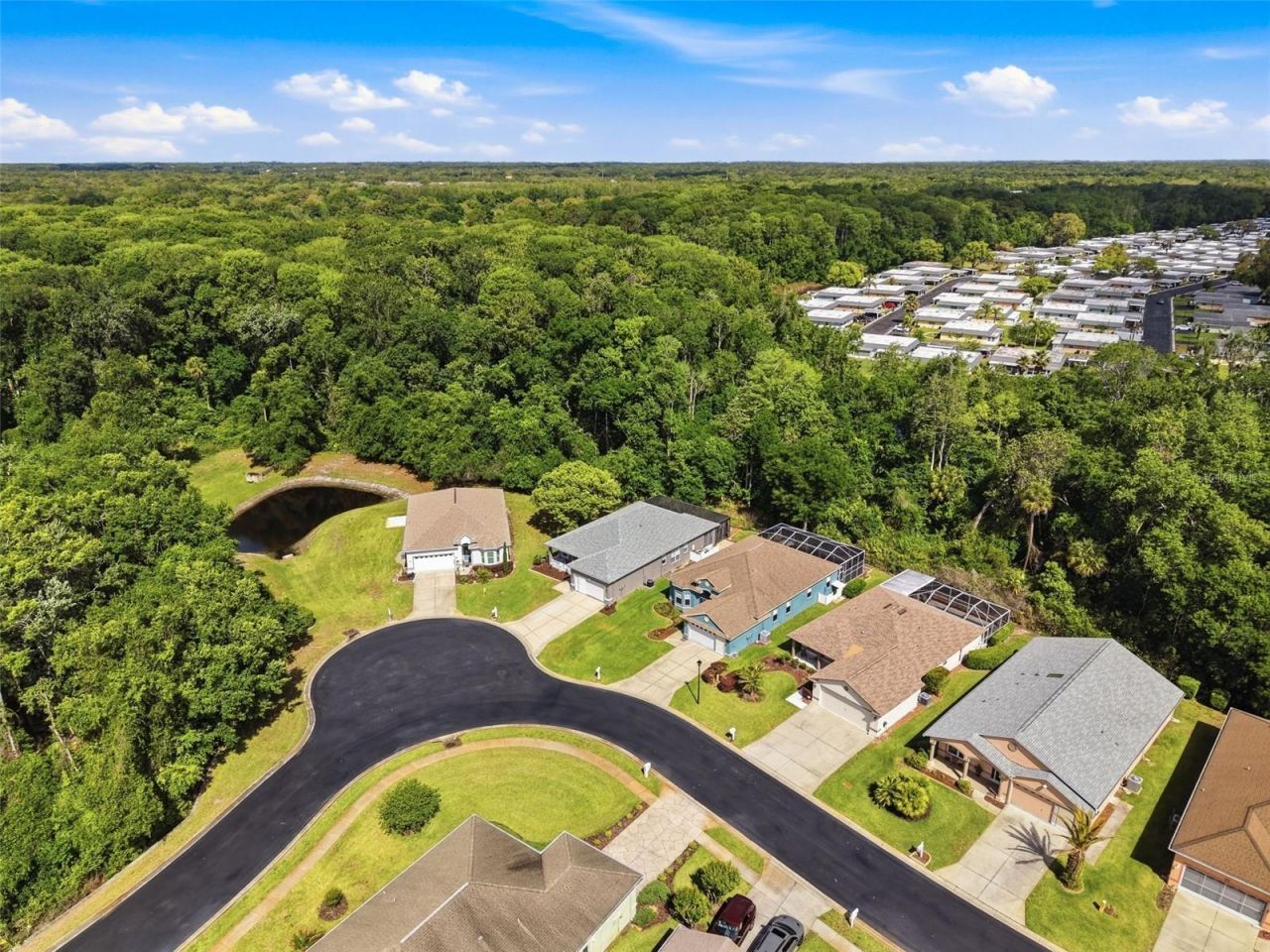 11303 Clear Oak Circle , New Port Richey, FL 34654 Photo