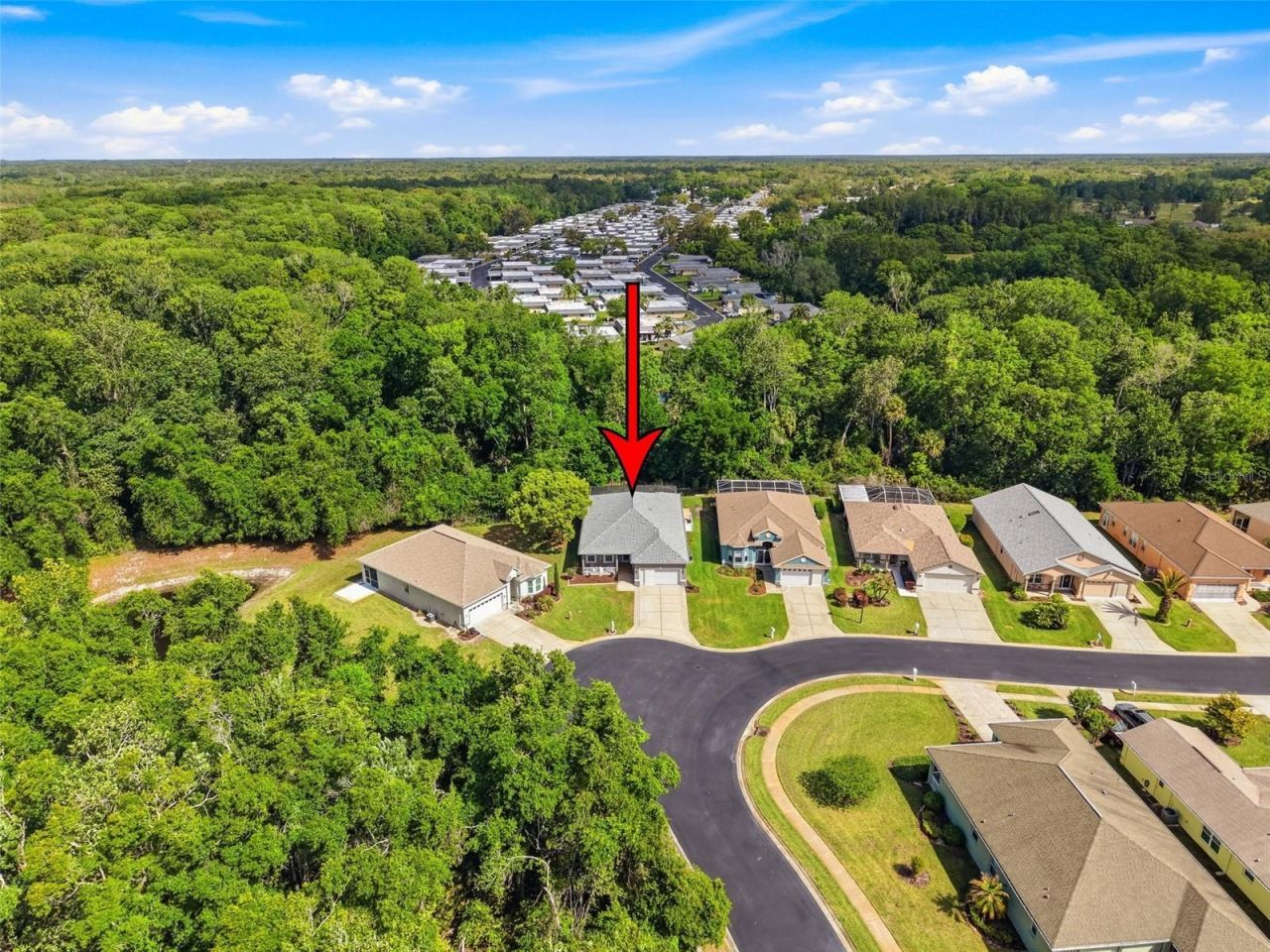 11303 Clear Oak Circle , New Port Richey, FL 34654 Photo