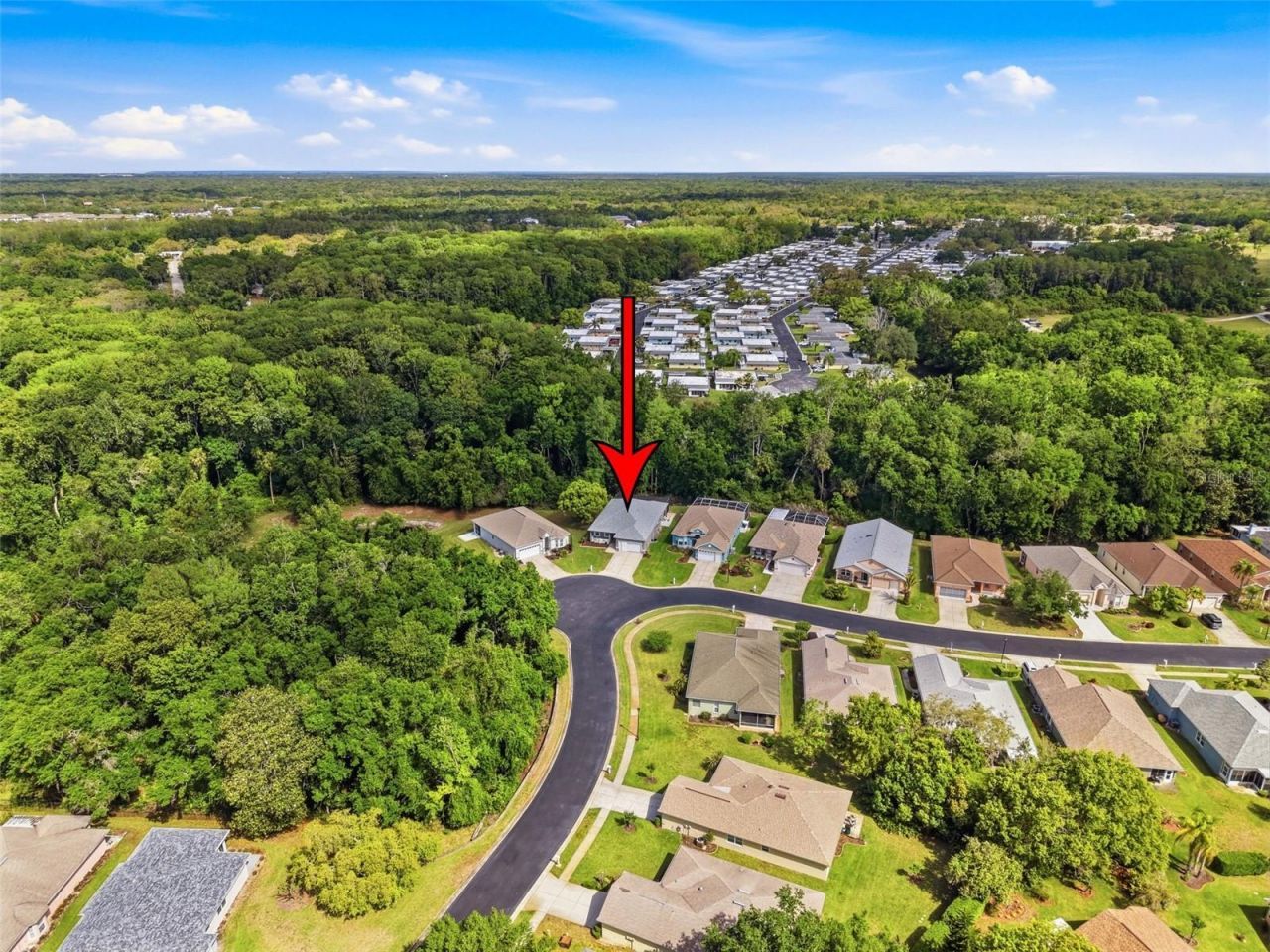 11303 Clear Oak Circle , New Port Richey, FL 34654 Photo