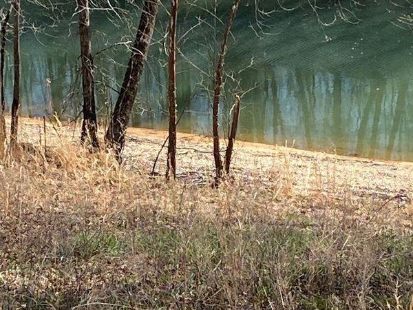 0 Wagon Lane , Speedwell, TN 37870