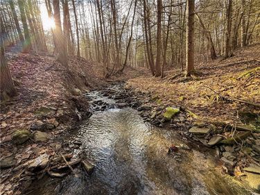 Briggs Hill Road, Van Etten, NY 14889