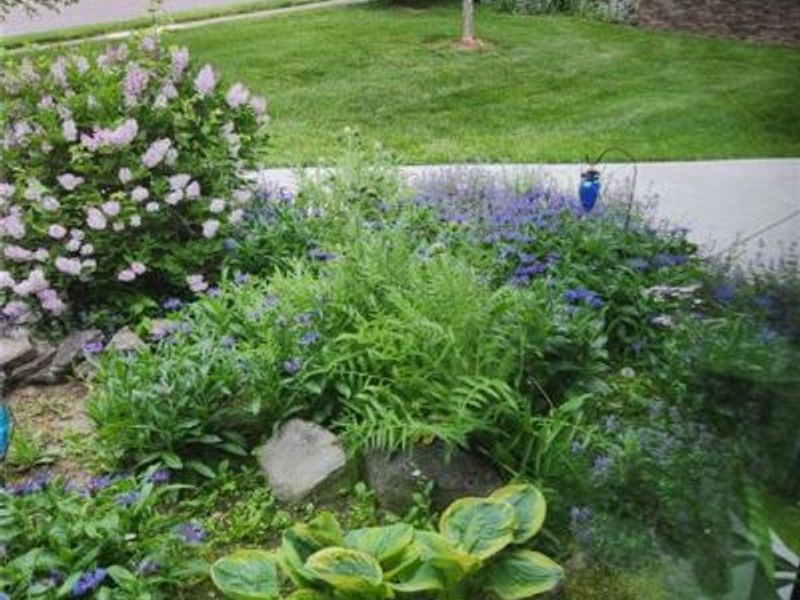 210 Foliage Lane, Springboro, OH 45066 Photo 39