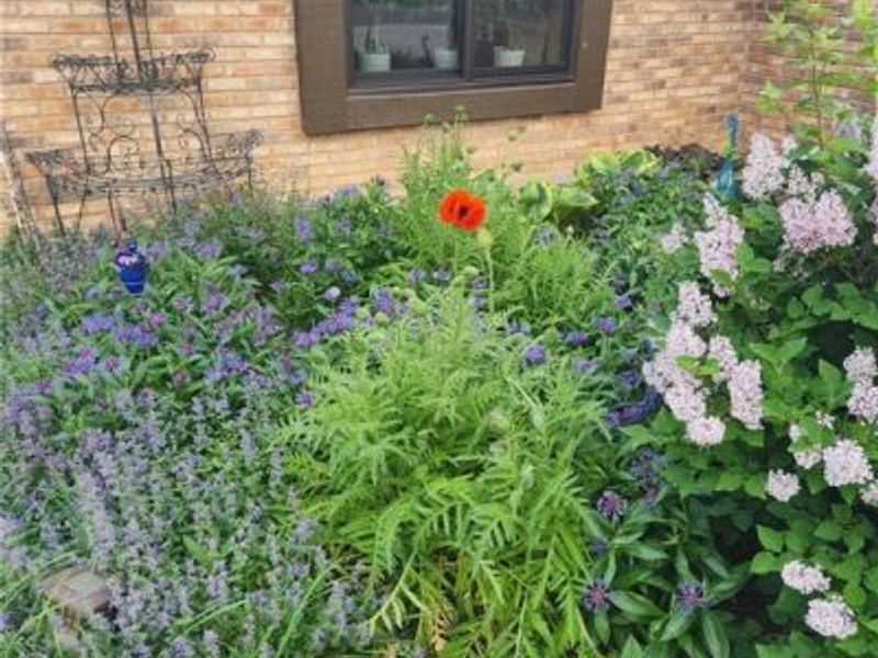 210 Foliage Lane, Springboro, OH 45066 Photo 40