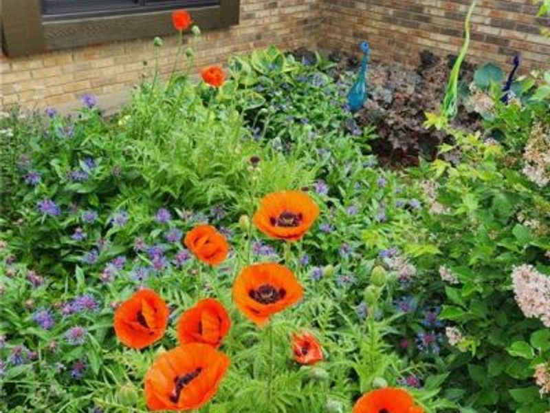 210 Foliage Lane, Springboro, OH 45066 Photo 41