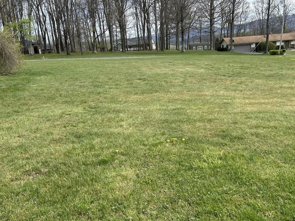 TBD Kimberly Lane, Kingwood, WV 26537