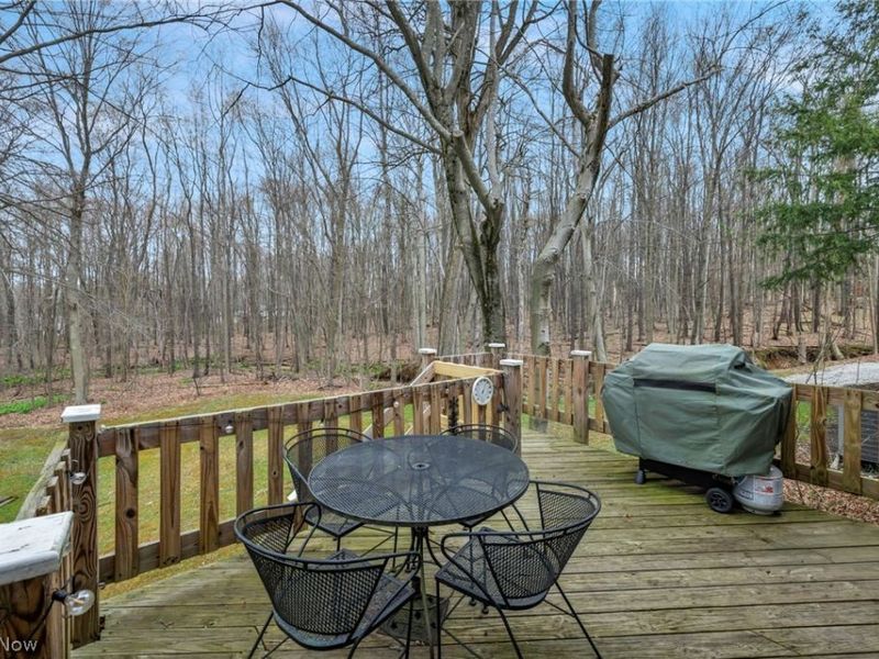 13160 Stoney Springs Drive, Chardon, OH 44024 Photo 37