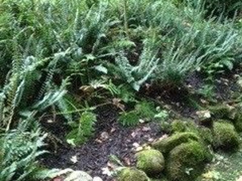 13160 Stoney Springs Drive, Chardon, OH 44024 Photo 44