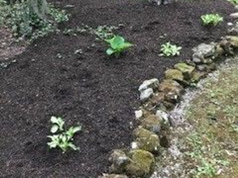 13160 Stoney Springs Drive, Chardon, OH 44024 Photo 47