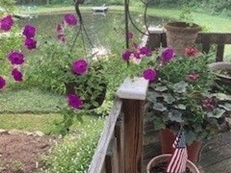 13160 Stoney Springs Drive, Chardon, OH 44024 Photo 48